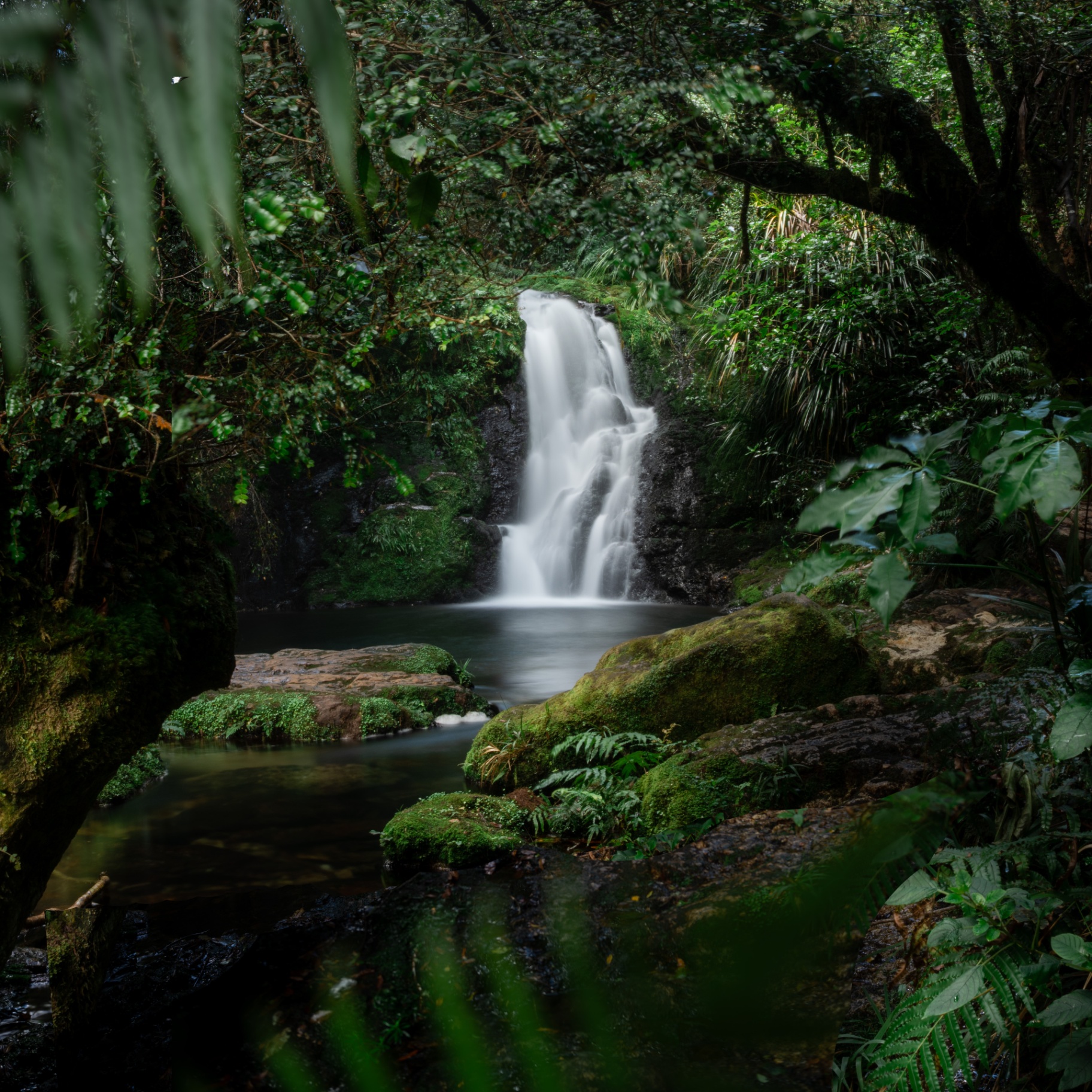 Waterfall in the New Zealand bush
